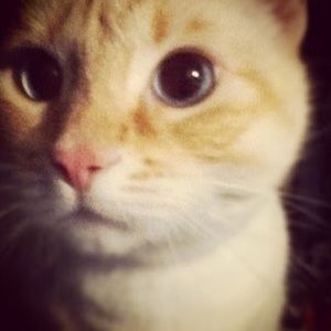 Meet your Posher, Cristen